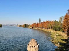 -长广溪湿地公园