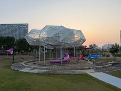 -春花秋色城市公园