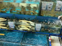 -林记生蚝·专注生蚝三十载(创意园店)