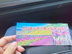 -青峰峡国家森林公园