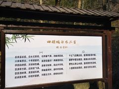 -白水冲瀑布