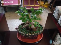 DSC02730-苏州独墅湖书香世家酒店