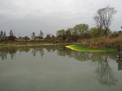 -桤木河湿地公园