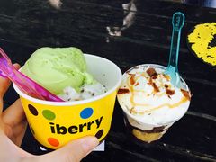 -莓园冰淇淋店