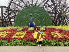 -呀路古热带植物园