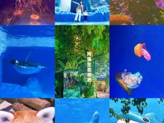 -海合安成都极地海洋公园
