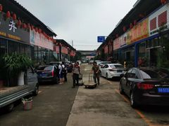 -金科花卉市场