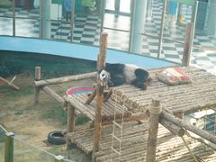 -大连森林动物园