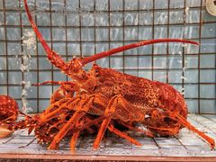 -港澳德兴火锅海鲜酒家(殷皇子店)