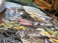 -和源祥·日照菜扛把子(万平口一店)