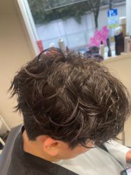-SALON DE VANHADA