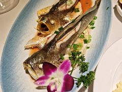 -33号大院·青岛本帮菜(五四广场店)