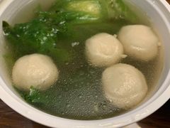 -MR鹅外