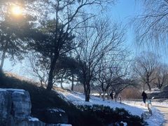 -北京西山国家森林公园