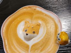 -逗柴咖啡屋·狗咖猫咖宠物桌游