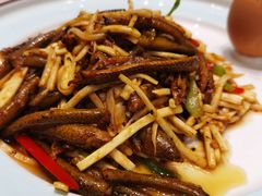-丁老爷子苏香圆