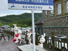 -莫尔道嘎国家森林公园