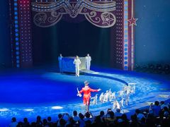 -珠海横琴长隆《卡卡虎奇遇记》