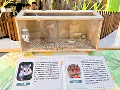 -宁波儿童公园(鄞州区)