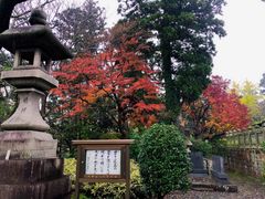 -成田山新胜寺