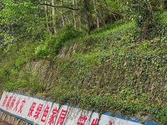 -大蜀山国家森林公园