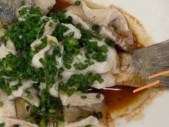 特色香葱淋鲈鱼-粤·向群饭店(泮塘路店)