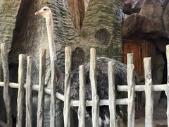 -长鹿旅游休博园