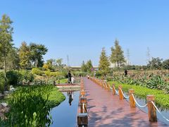 -那考河湿地公园
