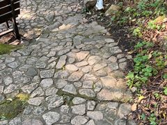 -三块石国家森林公园