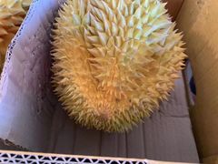 -仲雅水果大卖场(仲雅苑店)