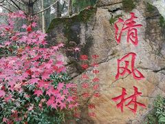 -邓小平故里