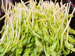 豆苗-水哥卜卜贝(东晓·胜汇里店)