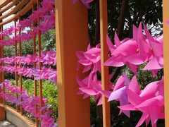 -广州神农草堂中医药博物馆