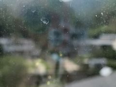 -栾川竹海野生动物园