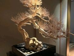 -浅深(北京北四环精品店)