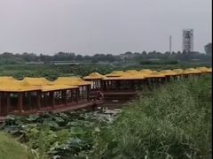 -白洋淀景区