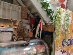 -小时光咖啡馆(北锣鼓巷店)