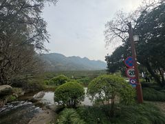 -中国茶叶博物馆(双峰馆区)