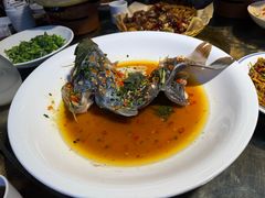 -印象鲵宴·张家界地标美食名片(溪布街店)