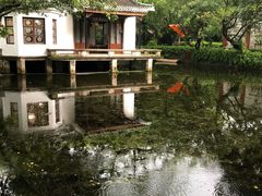 -广州兰圃