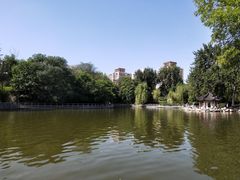-莲湖公园