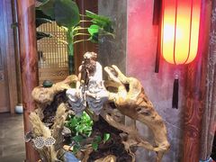 -碧露轩·大益茶体验馆(镇江路店)