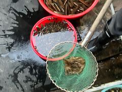 -飞霞风景名胜区