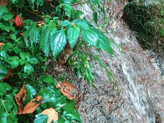 -藏龙百瀑风景区