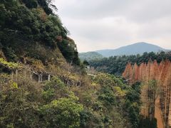 -五泄景区