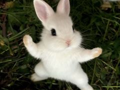 -袁记串串香(墨河南岸店)