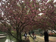-白马涧龙池景区