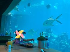 -海棠湾洲际-涛·海底餐厅·美人鱼·自助餐·海底隧道