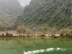 -靖西鹅泉风景区