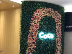 大堂-CoCo都可(东城国贸店)